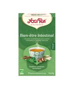 Bien-être intestinal - Infusion ayurvédique BIO, 17 sachets